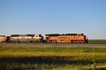 BNSF 8531/9803